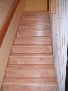 treppe