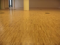 saal-mit-parkett