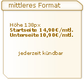 Format, Preise für die mittlere Anzeige